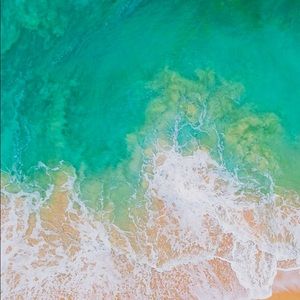 Meet your Posher, Shawn